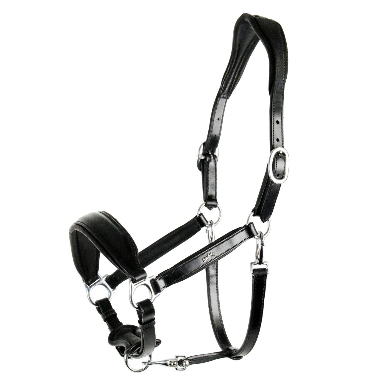 Shop Schockemohle Fremont Anatomic Halter - Malvern Saddlery