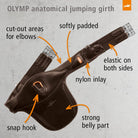 Shop Schockemohle Stud Girth | Shop Schockemohle Sports Brand Products – Malvern Saddlery. - Malvern Saddlery