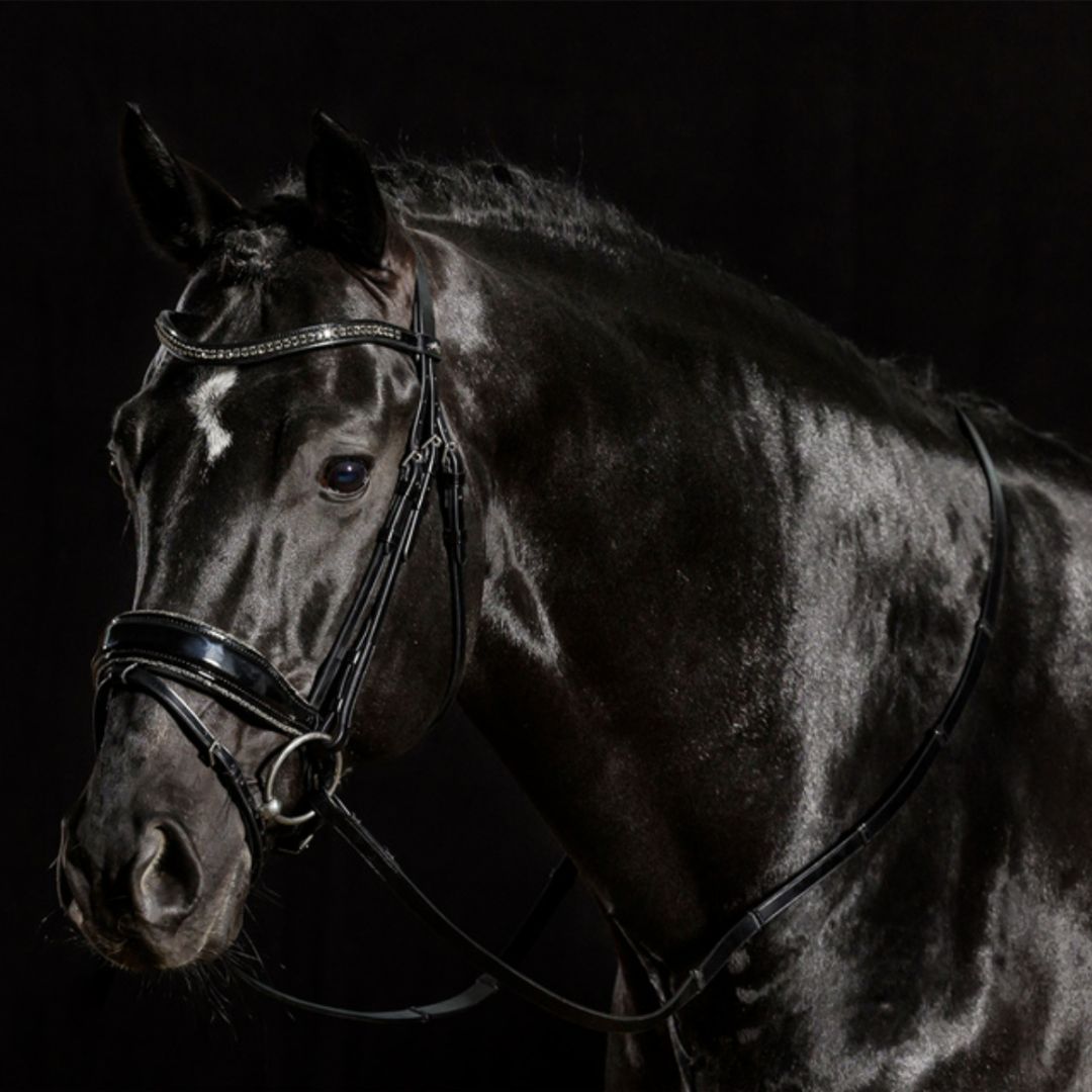 Schockemoehle Sports Stanford Glam Dressage Bridle | Malvern Saddlery