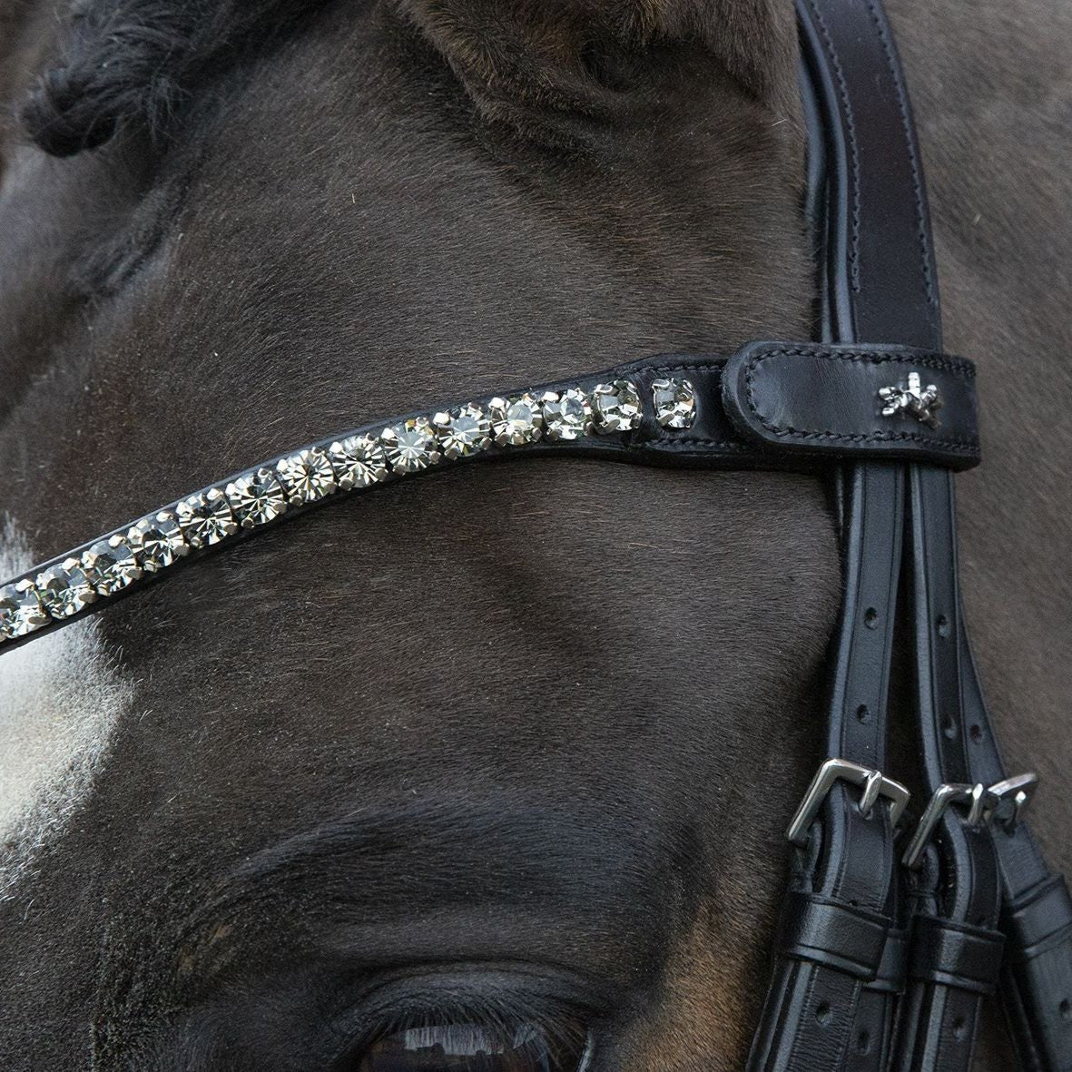 Schockeoehle Sports Milazzo Double Dressage Bridle - black crystal browband detail on horse| Malvern Saddlery