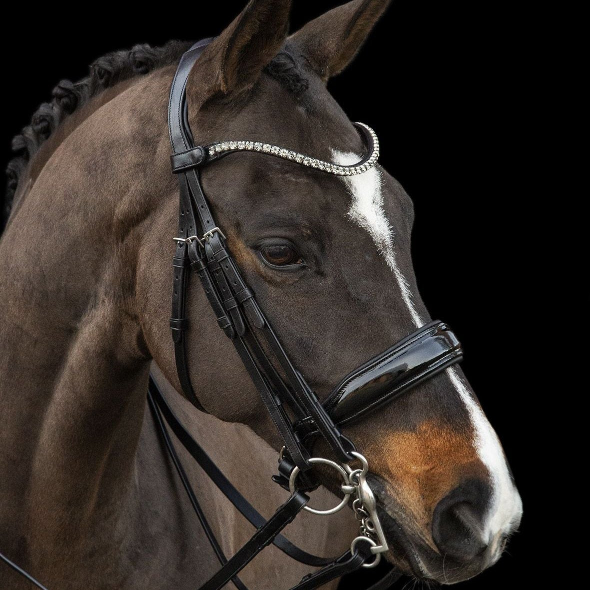 Schockeoehle Sports Milazzo Double Dressage Bridle - black patent leather, crystal browband - on horse| Malvern Saddlery