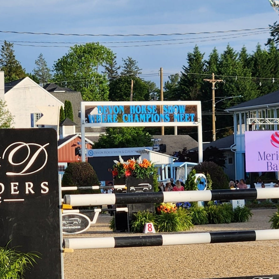Devon Horse Show "where champions meet" | Malvern Saddlery