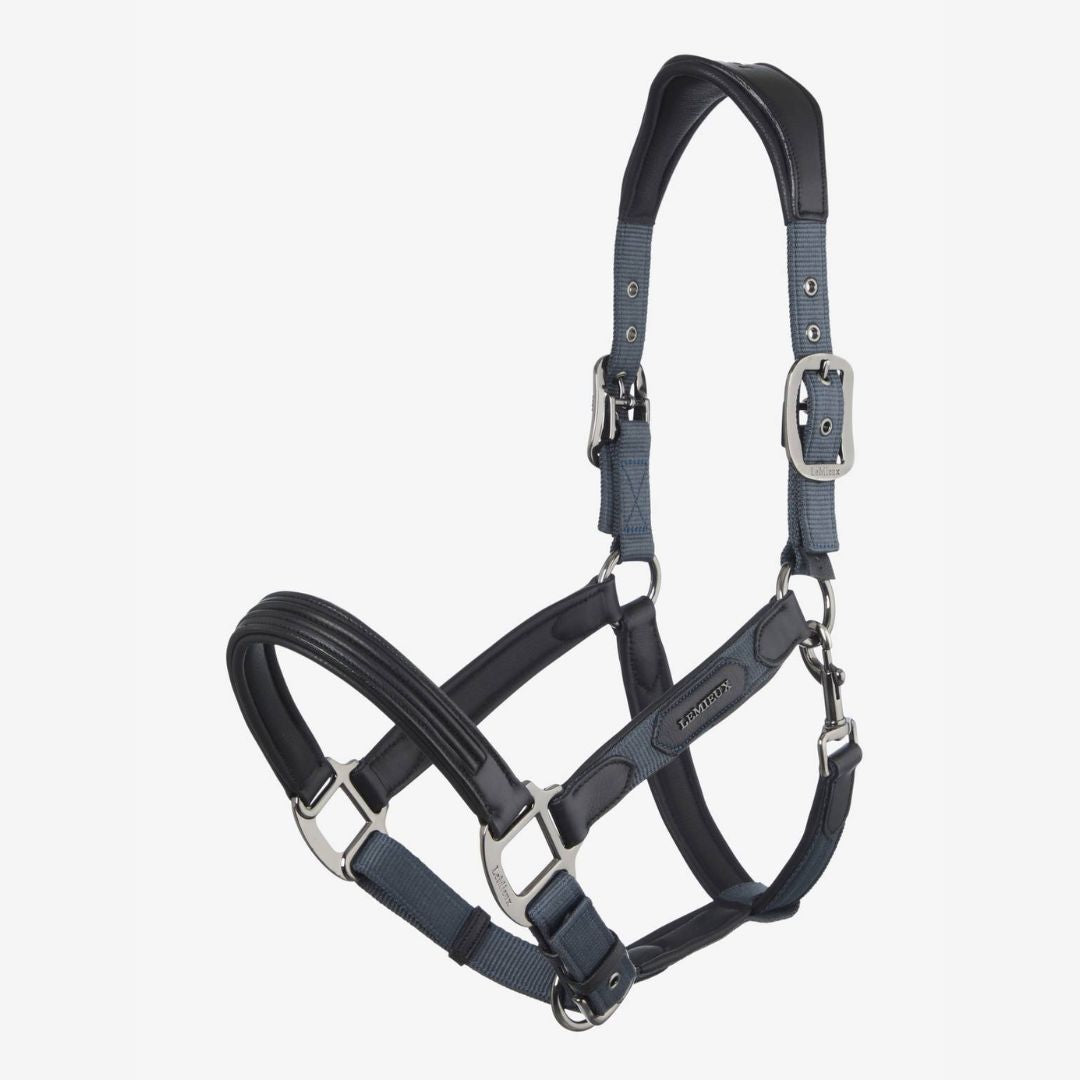 LeMieux Capella Halter - Petrol | Malvern Saddlery