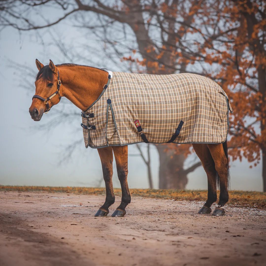 5/A Baker® Heavy Weight 400g Turnout Blanket | Malvern Saddlery