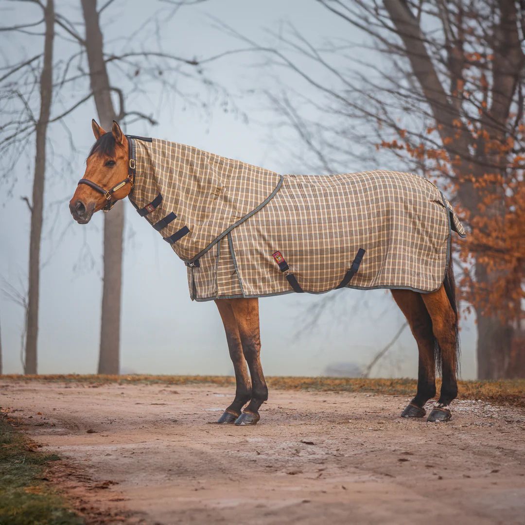 5/A Baker® Heavy Weight 400g Turnout Blanket, shown with neck cover - sold  separately | Malvern Saddlery