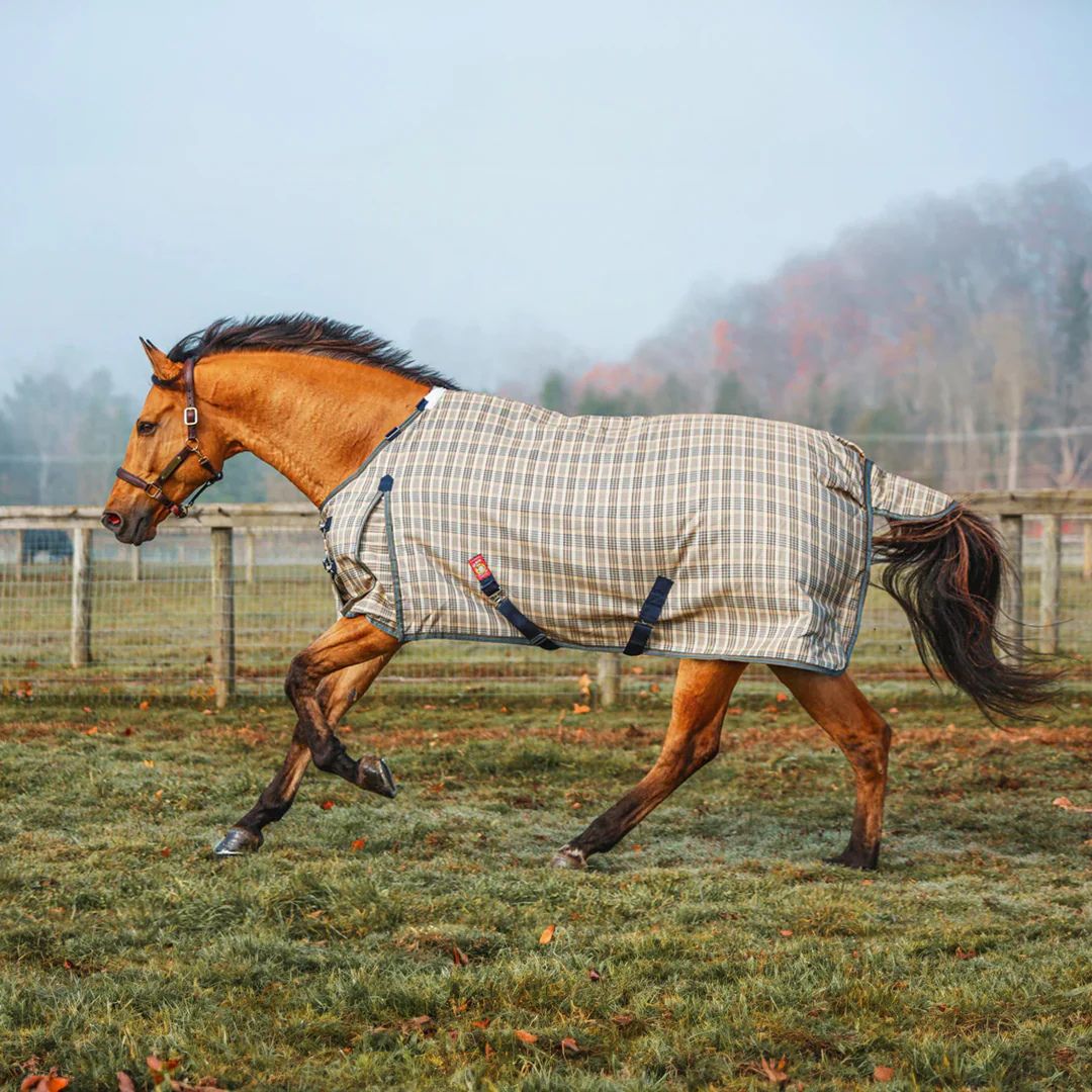 5/A Baker® Heavy Weight 400g Turnout Blanket | Malvern Saddlery