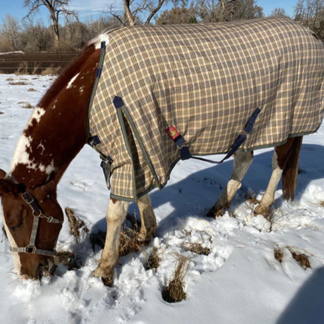 5/A Baker Medium Weight Turnout Blanket - 200g Plaid | Malvern Saddlery