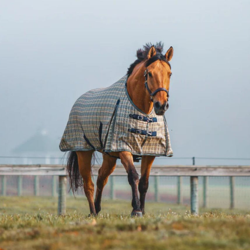 5/A Baker Medium Weight Turnout Blanket - 200g Plaid | Malvern Saddlery