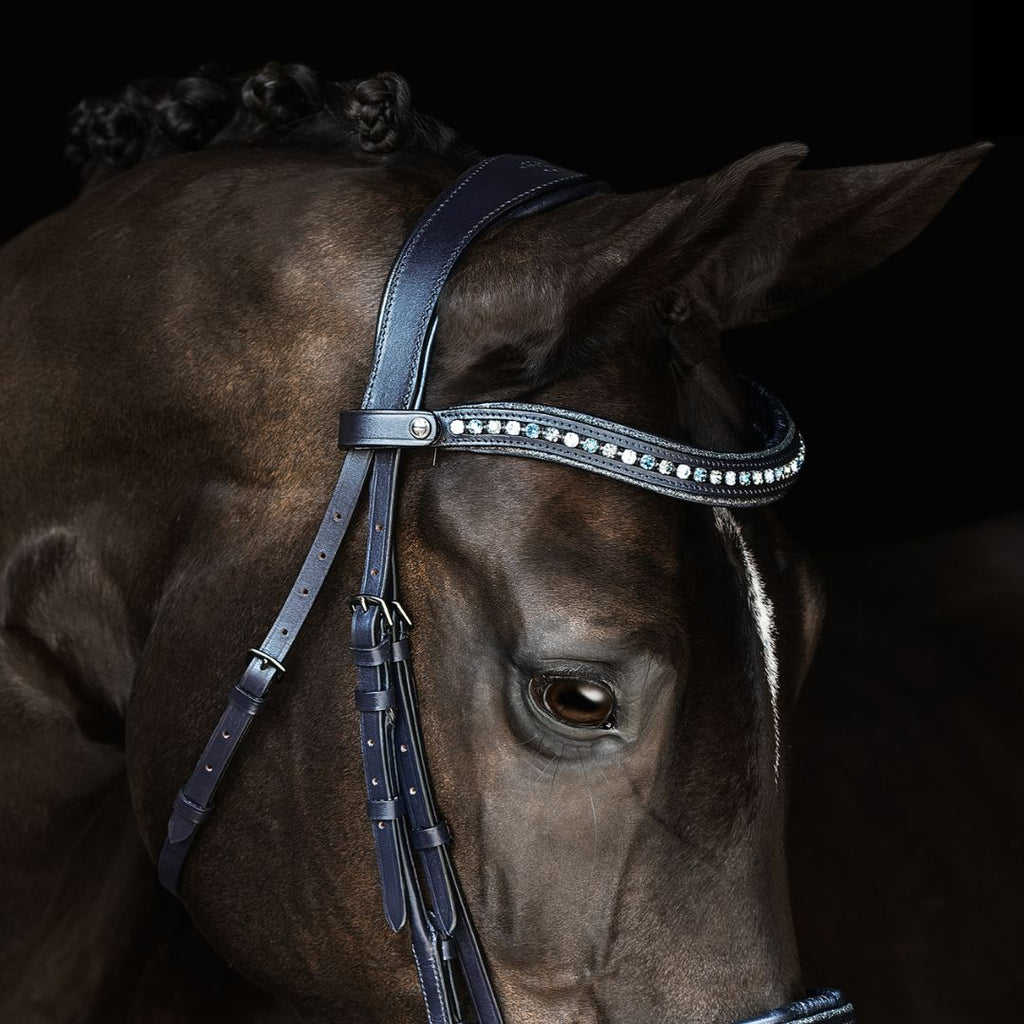 After Midnite Dressage Bridle, Navy leather with padding & crystals - browband detail | photo credit: Jess Cassino Photography | Malvern Saddlery Exclusive