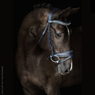 After Midnite Dressage Bridle, Navy leather with padding & crystals | photo credit: Jess Cassino Photography | Malvern Saddlery Exclusive