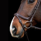 Schockemöhle Sports Ancona Select Bridle - Espresso | Malvern Saddlery