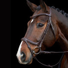 Schockemöhle Sports Ancona Select Bridle - Espresso | Malvern Saddlery