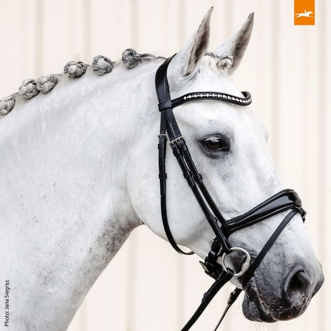 Schockemoehle Sports Brantford Bridle - Black | Malvern Saddlery