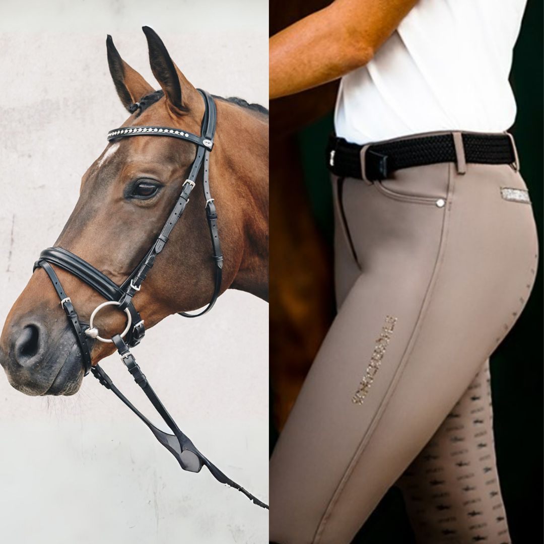 Schockemohle Horse & Rider Collection | Malvern Saddlery