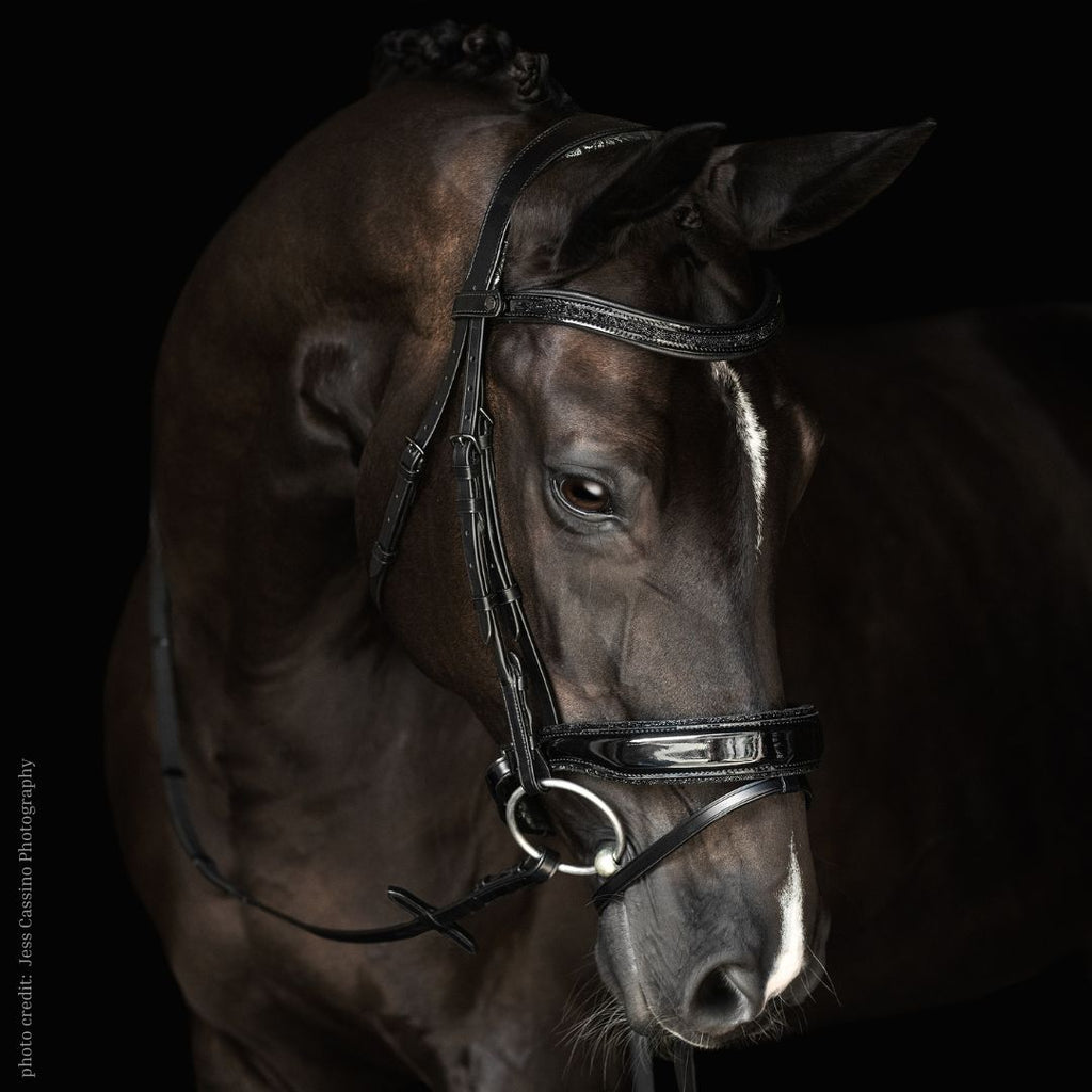 Centerline Baroque Dressage Bridle with black leather, patent & crystal details | photo credit: Jess Cassino Photography | Malvern Saddlery Exclusive