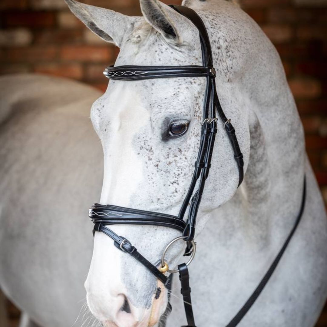 LeMieux Competition Flash Bridle - Black shown on dappled gray horse | Malvern Saddlery