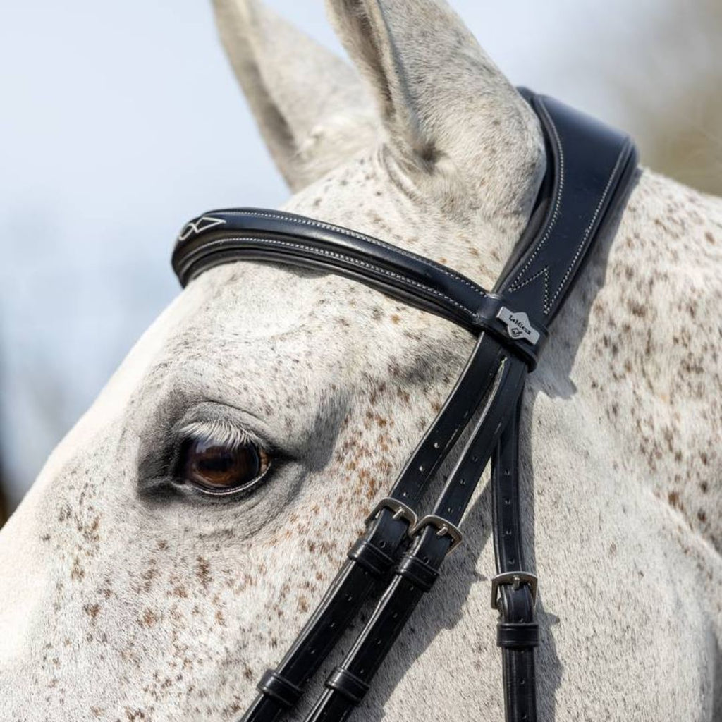 LeMieux Competition Flash Bridle - Black side detail on horse | Malvern Saddlery