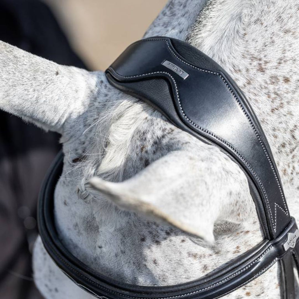 LeMieux Competition Flash Bridle - Black top detail on horse | Malvern Saddlery
