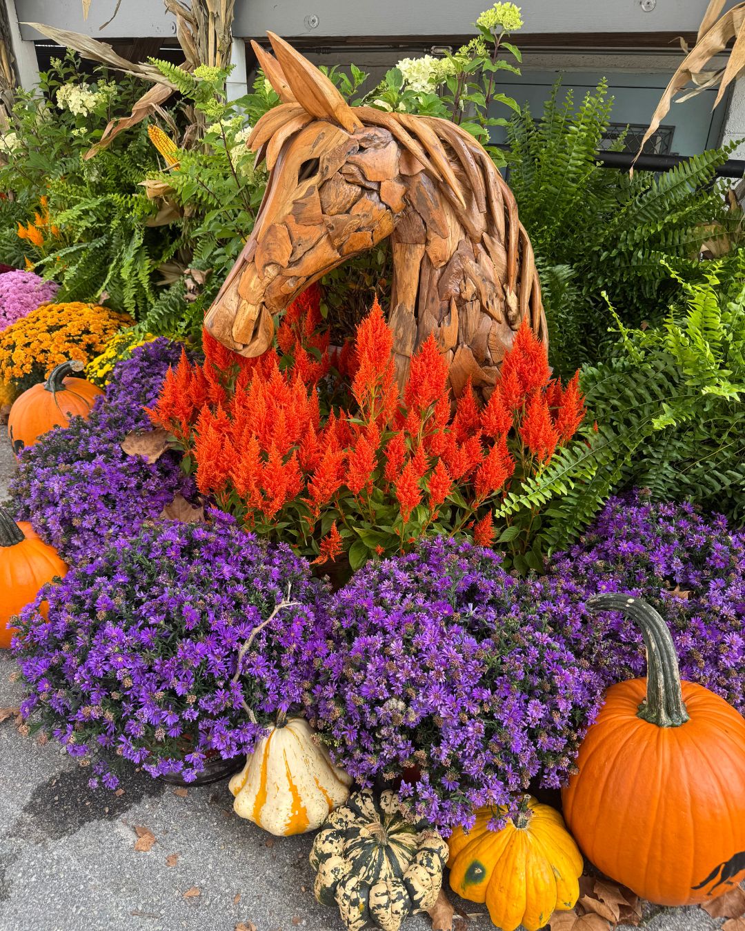 Decorative arrangement at Dressage at Devon 2025 with wooden horse head, pumpkins, and flowers