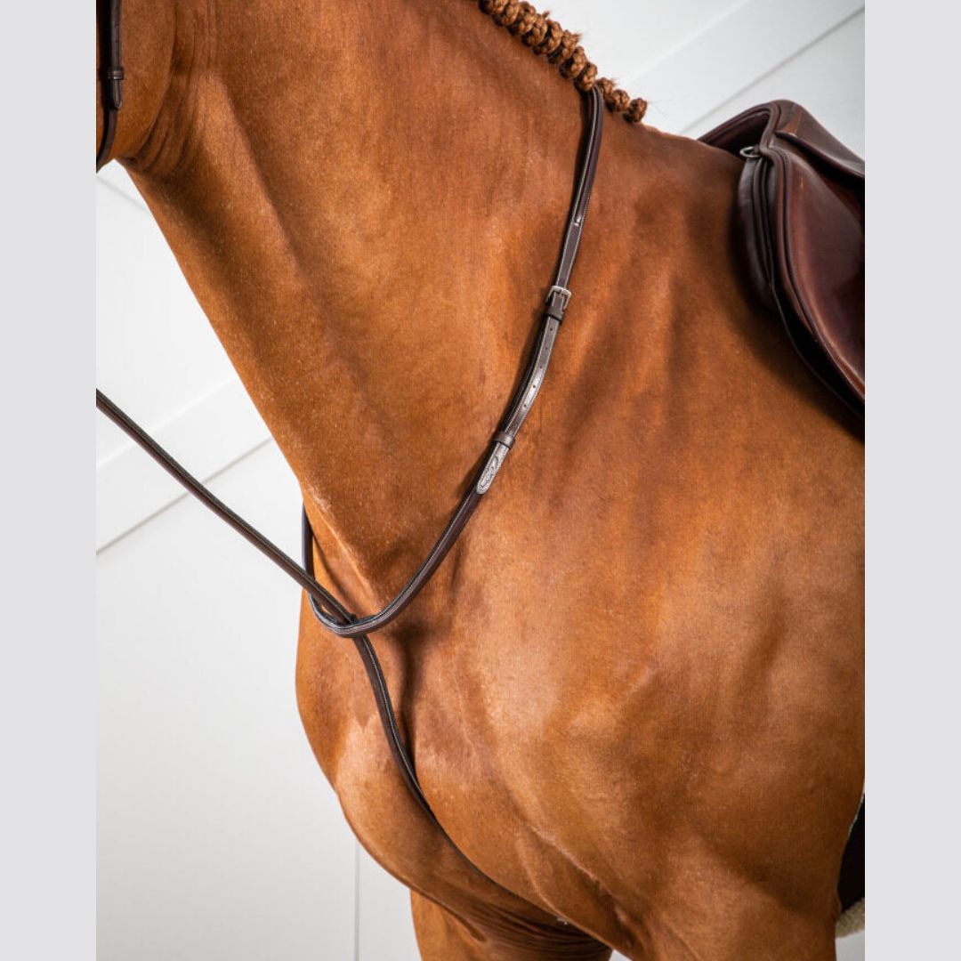 Dy'on Standing Martingale - Hunter - Stainless Steel hardware, Cream stitching | Malvern Saddlery