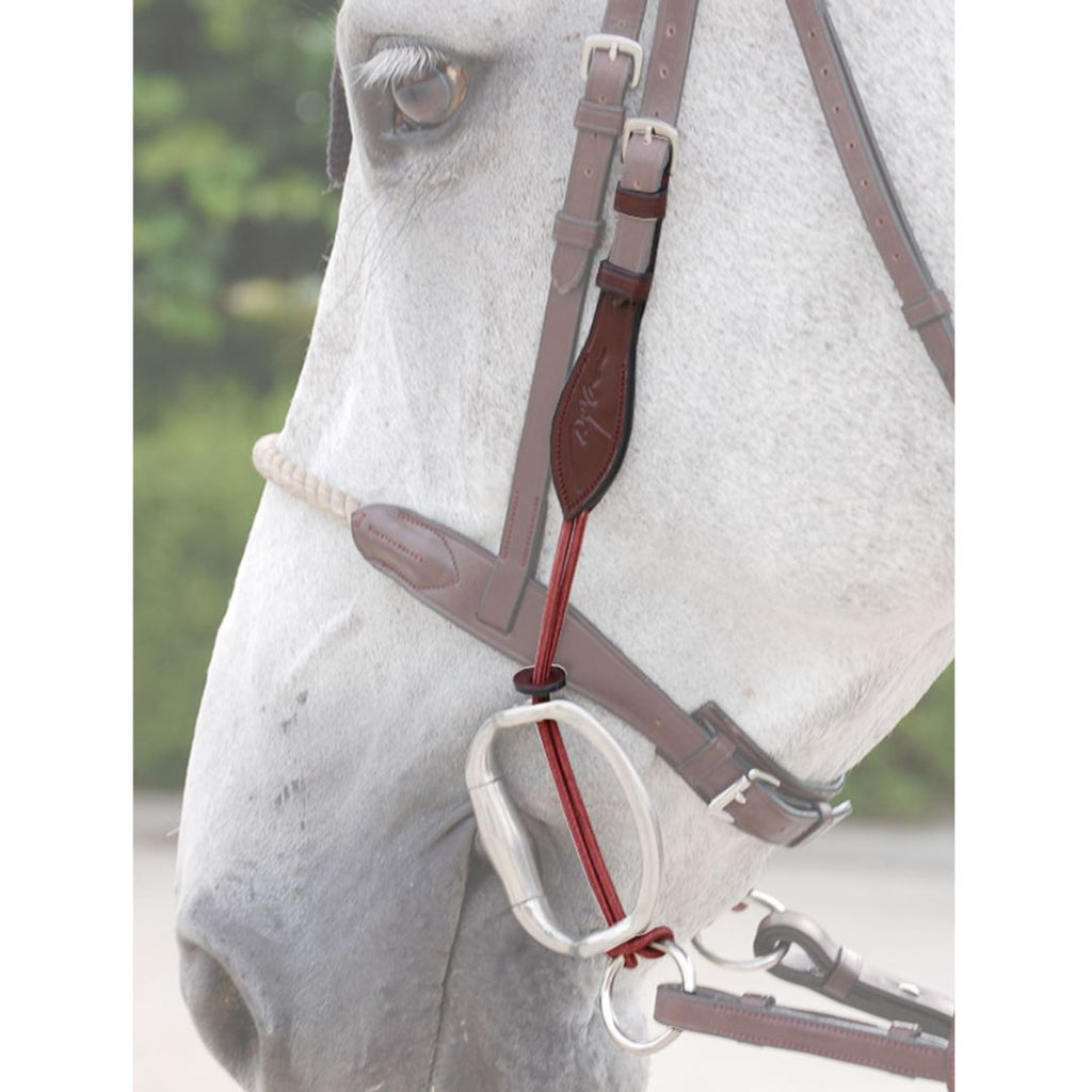 Dy'on Gag Cheeckpiece - New English - Brown, shown with bit & bridle on white horse | Malvern Saddlery