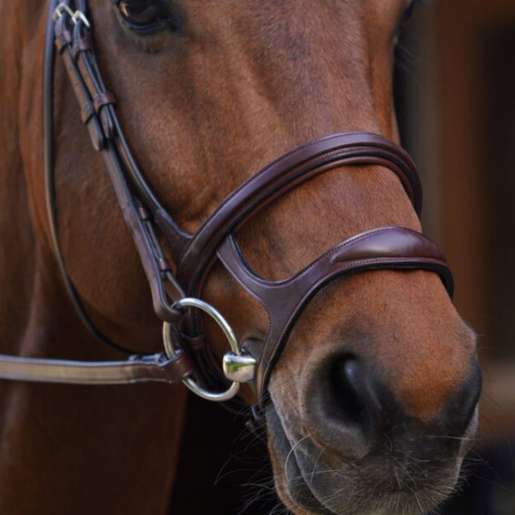 Dy'on Double Jumper Noseband - Brown, matching stitching, stainless steel buckles | Malvern Saddlery