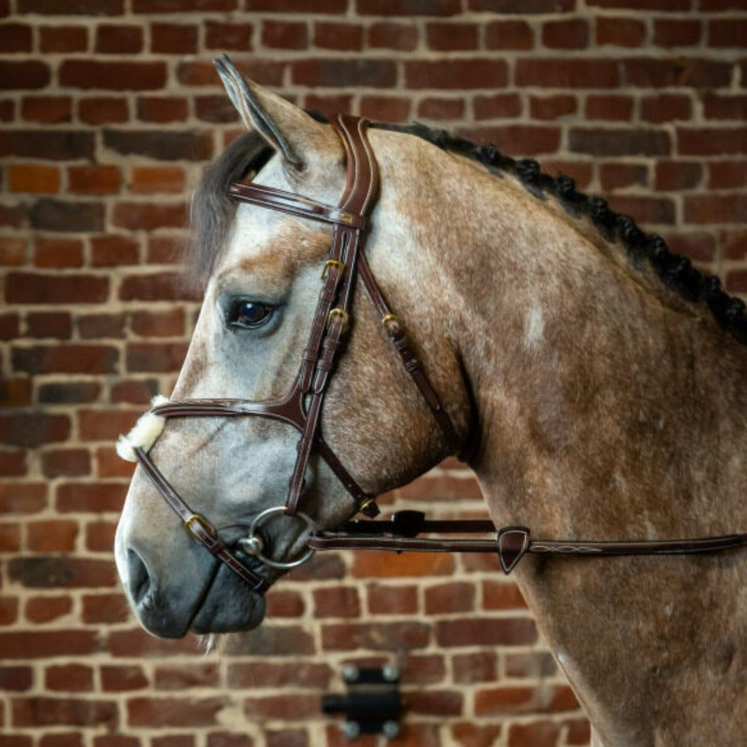 Dy'on Figure 8 Jumper Bridle - Brown, Cream stitching, brass hardware | Malvern Saddlery