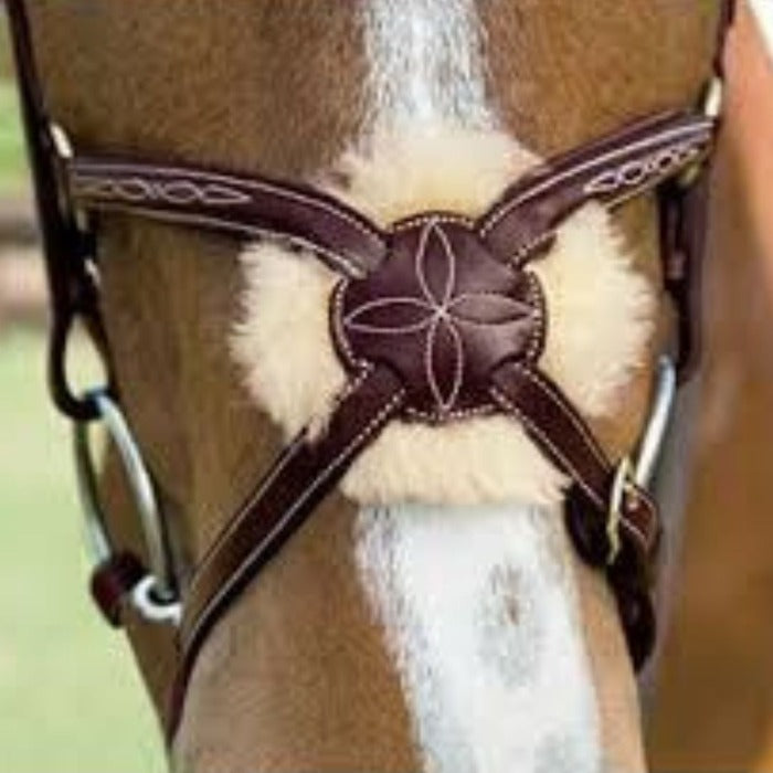 Dy'on Figure 8 Jumper Bridle - Brown, Cream stitching, noseband detail | Malvern Saddlery