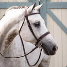 Dy'on Wide Nose Anatomic Hunter Bridle | Malvern Saddlery