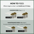 Perfect Prep EQ Training Day+ Daily Calming Pellets - feeding guide | Malvern Saddlery