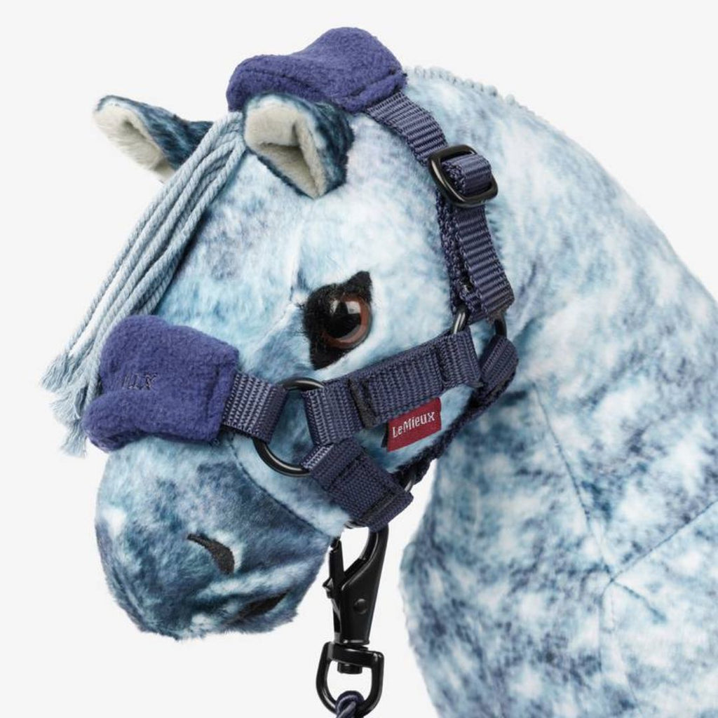 LeMieux Toy Pony Halter with Lead Rope - Ink, shown on Sam | Malvern Saddlery