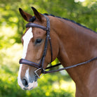 KL Select Hampton Hunter Bridle | Malvern Saddlery