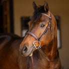 Huntley Sedgwick Fancy Stitched Square Raised Hunter Bridle with Reins - Australian Nut Brown | Malvern Saddlery