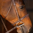 Huntley Sedgwick Fancy Stitched Square Raised Hunter Bridle with Reins - Australian Nut Brown, side viewshown with bit  on Chestnut horse detail of head and mouth  | Malvern Saddlery