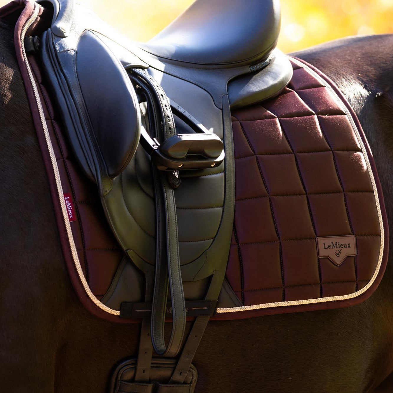 LeMieux Loire Classic Dressage Square Saddle Pad - Damson Dark Red, shown on horse with saddle | Malvern Saddlery