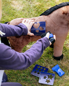 LeMieux Toy Pony - "Gracie", Child using a blue tool on a toy horse with additional tools on the grass | Malvern Saddlery
