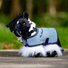 LeMieux Tiny Pony - Razzle, shown with blue fleece cooler with blurred green woods background | Children's Toys | Malvern Saddlery