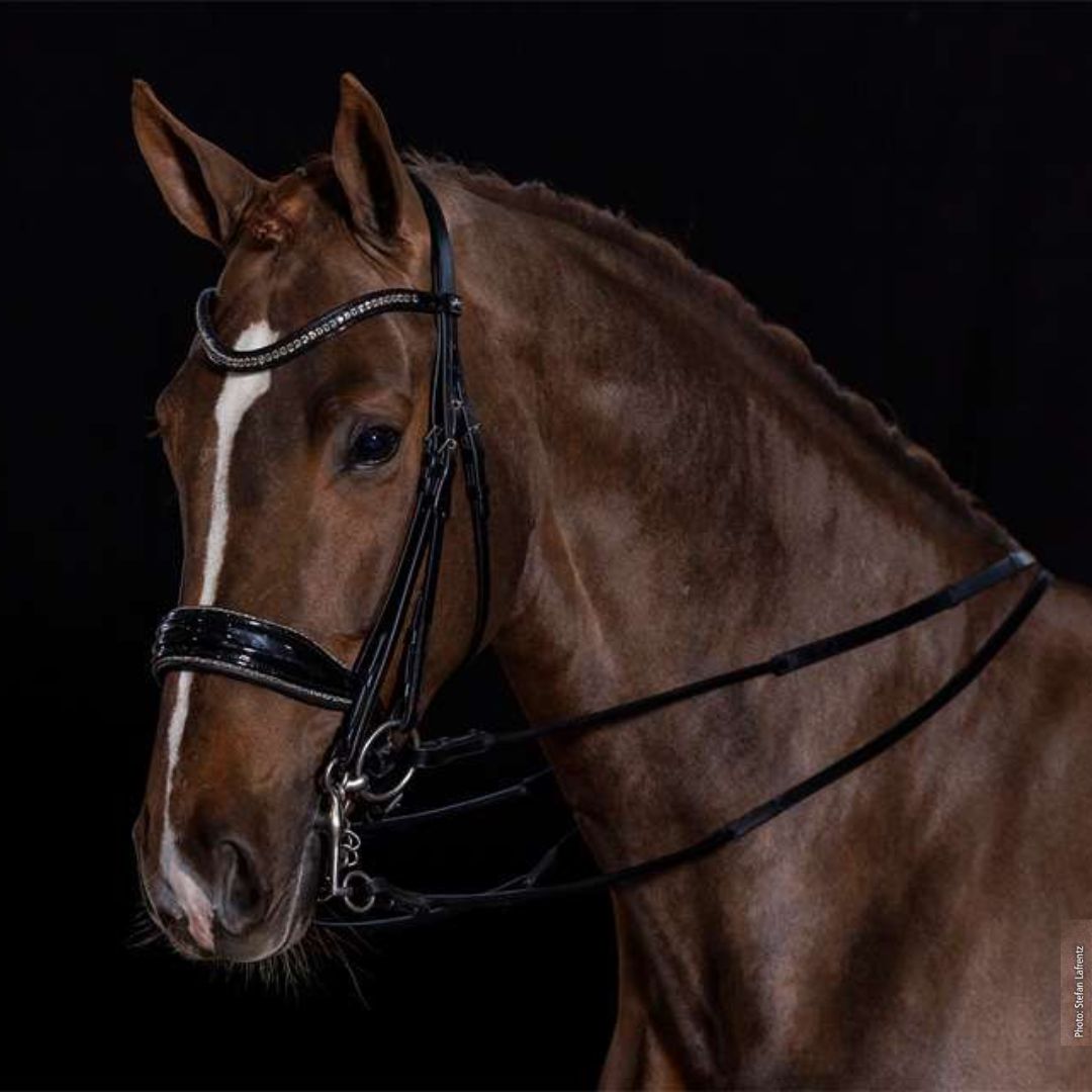 Schockemoehle Sports Milan Glam Dressage Bridle | Malvern Saddlery