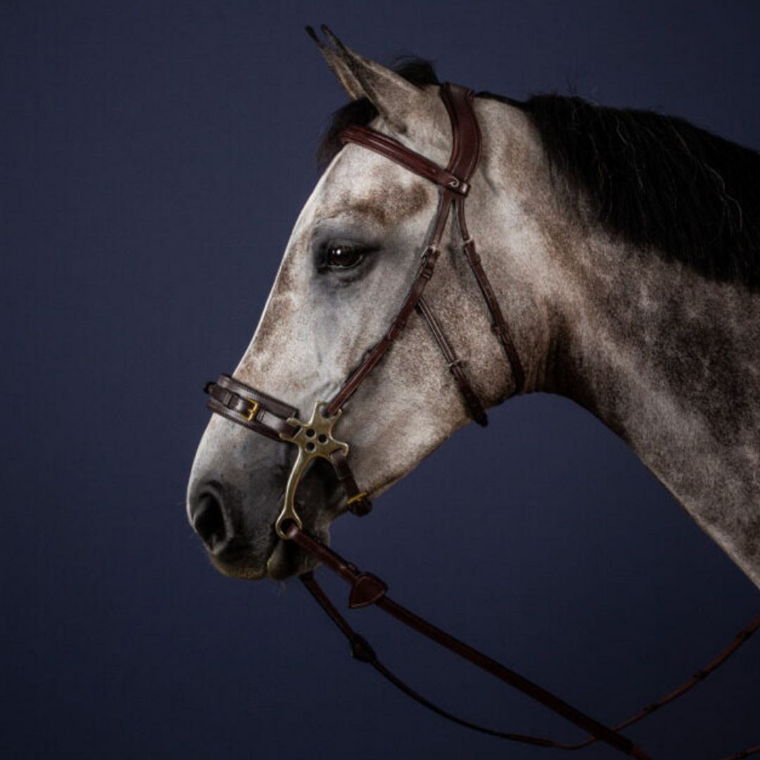 Dy'on Hackamore Bridle - Brown New English | Malvern Saddlery