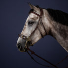 Dy'on Hackamore Bridle - Brown New English | Malvern Saddlery