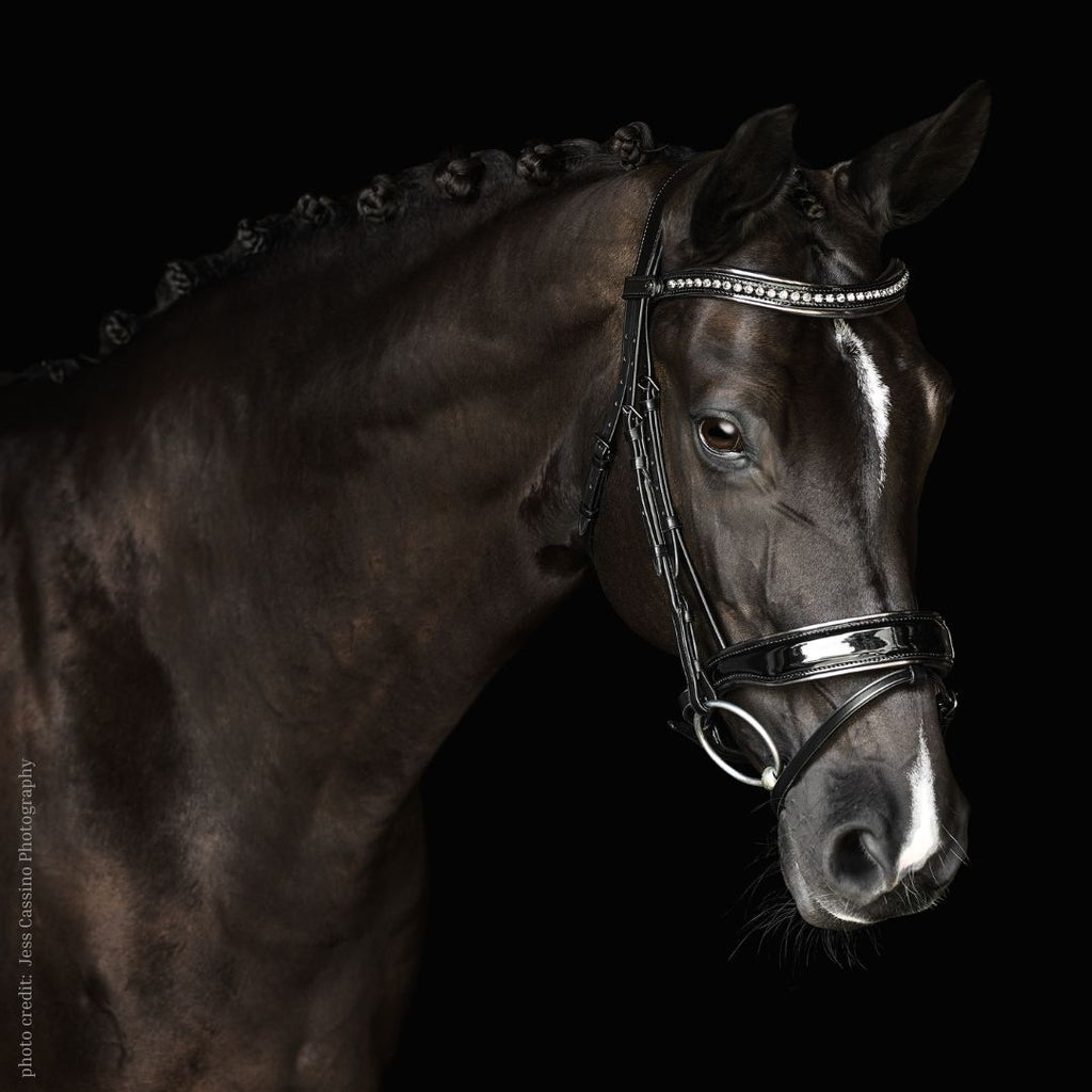 Patently Dressage Bridle - black leather with patent, gunmetal, dark shadow crystals details | photo credit: Jess Cassino Photography | Malvern Saddlery Exclusive