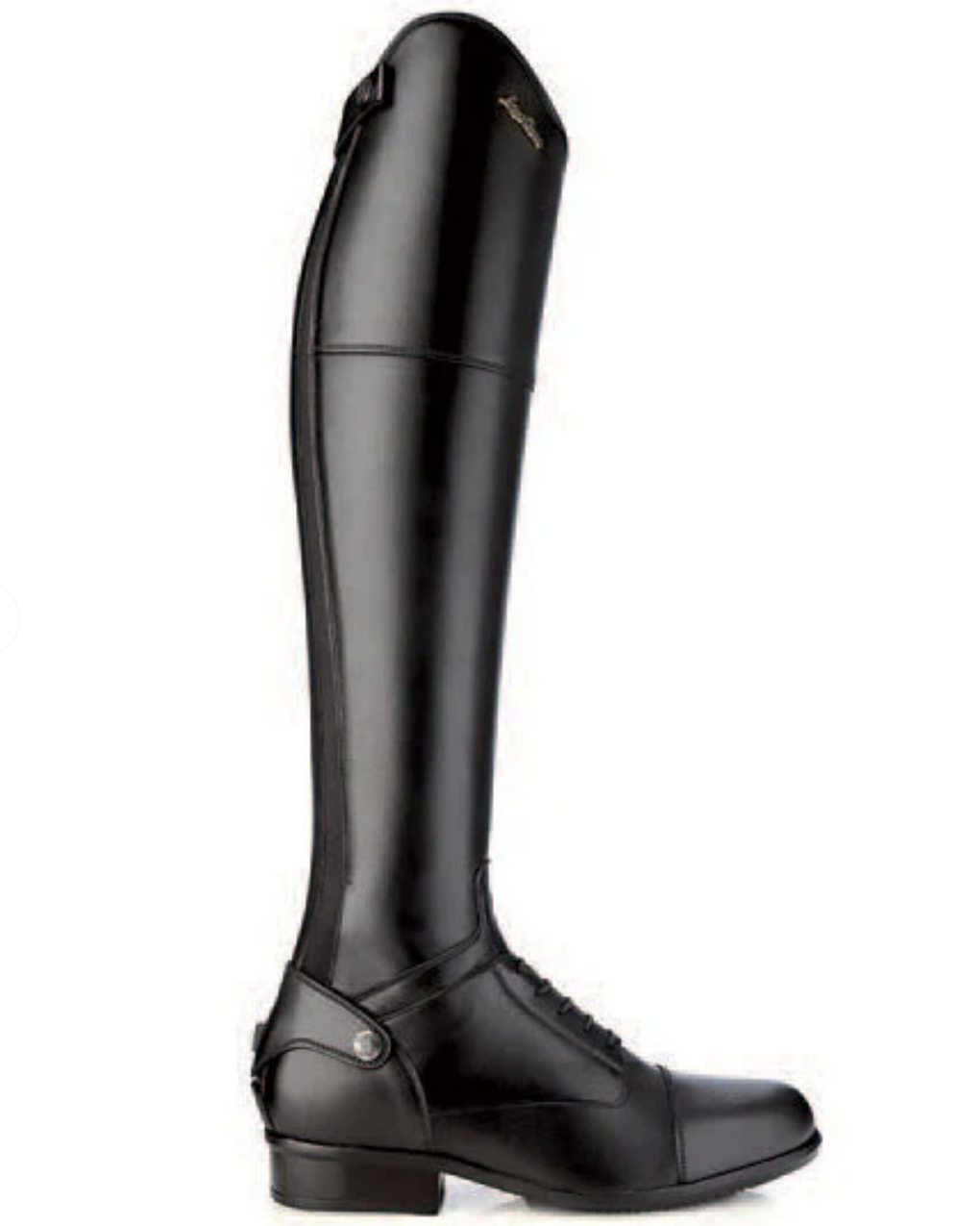 Sergio Grasso Evolution Field Boot | Malvern Saddlery