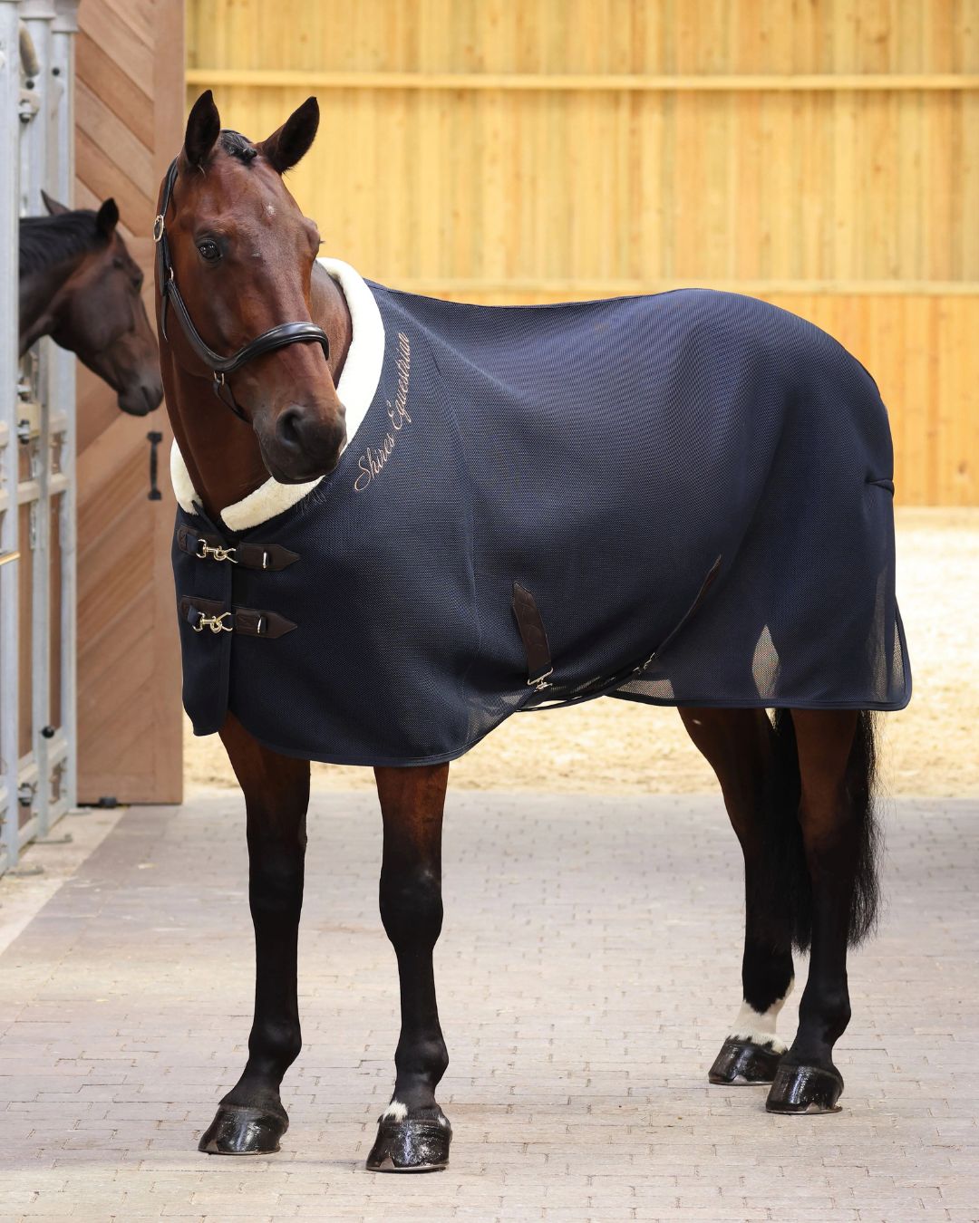 Shires Air Motion Cooler - Navy | Horse Blankets | Malvern Saddlery