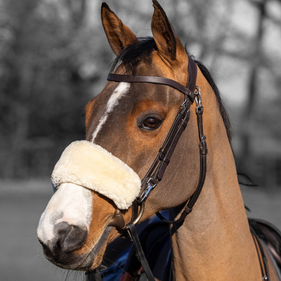 LeMieux Simuwool Bridle Noseband Cover - Natural - shown on horse with bridle | Malvern Saddlery