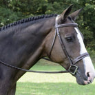 Red Barn Sonoma Hunter Bridle | Malvern Saddlery