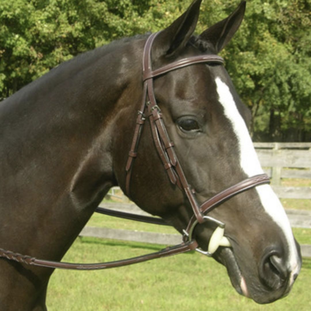 Red Barn Sovereign Hunter Bridle | Malvern Saddlery