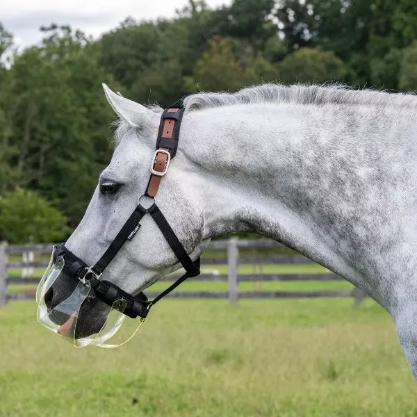 Thin Line Flexible Grazing Muzzle shown on dappled gray horse | Malvern Saddlery