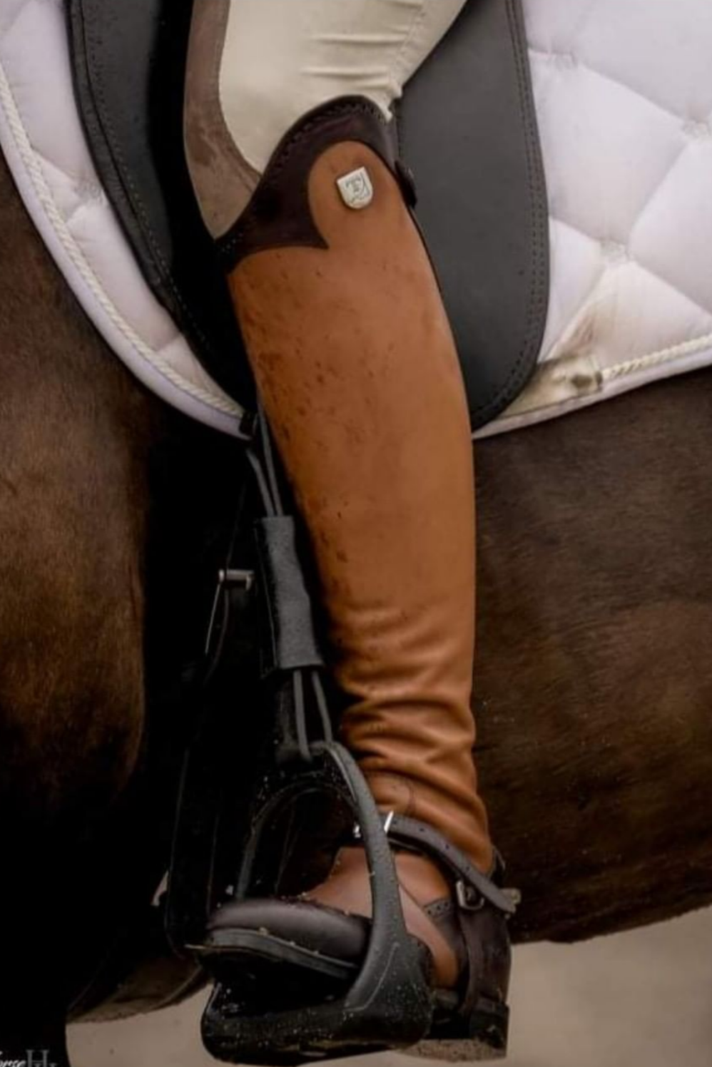 Custom Tucci Riding Boots - in action, shown on rider on their horse | Malvern Saddlery