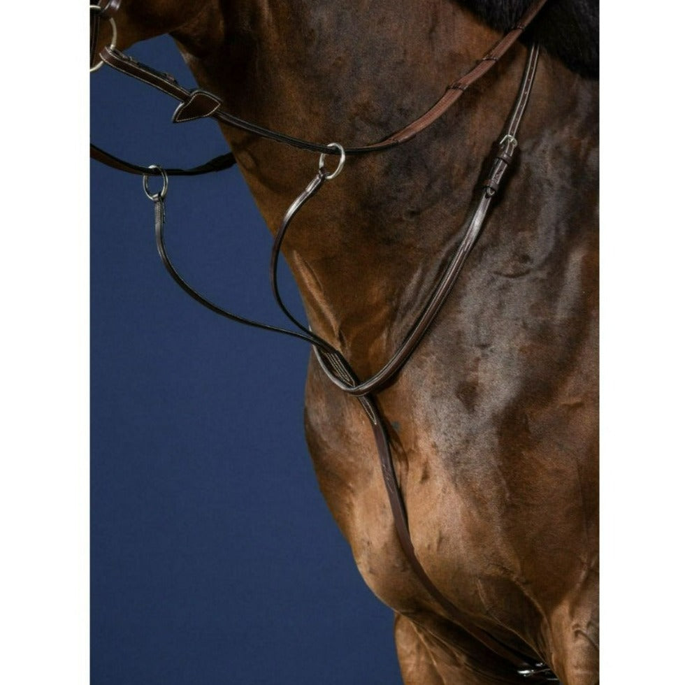 Dy'on Running Martingale- Stainless steel buckles, cream stitching | Malvern Saddlery