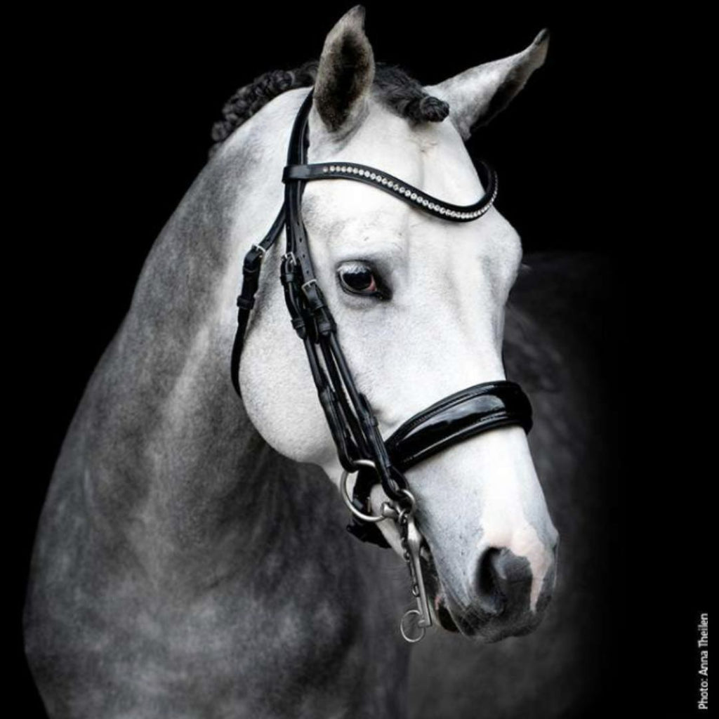 Schockemöhle Venice Dressage Double Bridle - blk patent on dappled grey horse | Malvern Saddlery